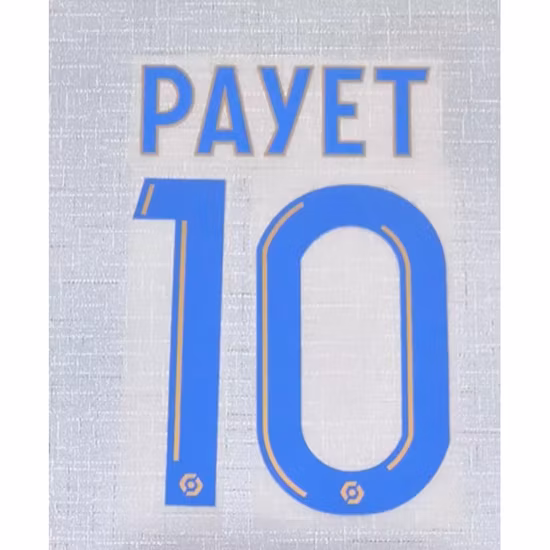 Sinicline Custom High Security Padlock Seal Airline Serial Numbers