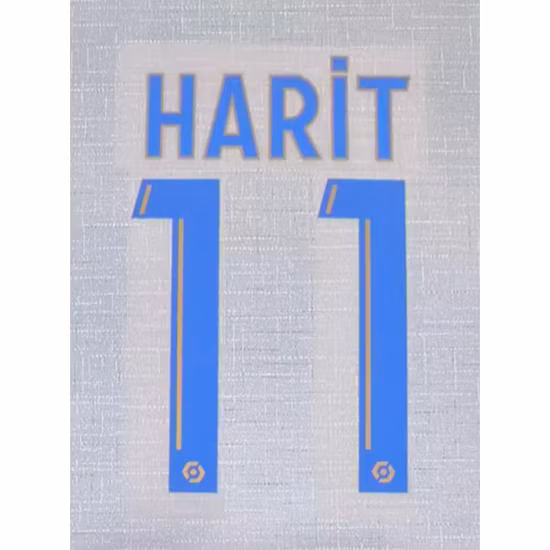 Sinicline Custom High Security Padlock Seal Airline Serial Numbers