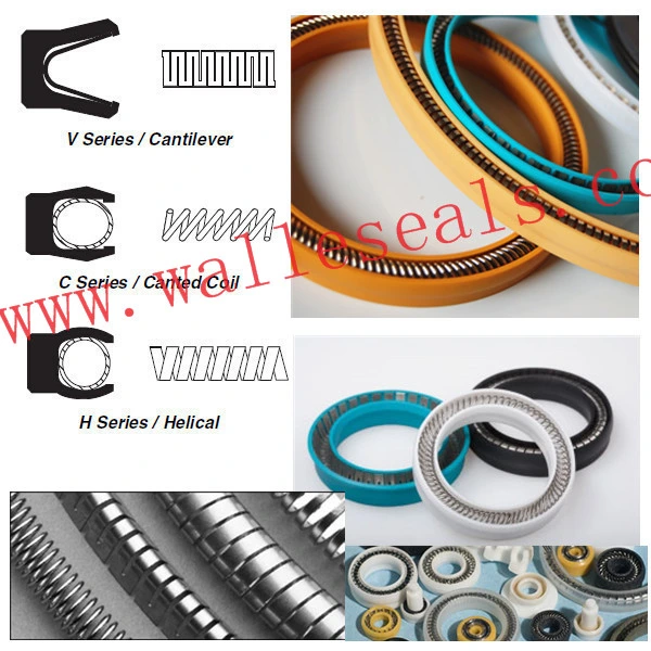 Spring Energized Seals for Metering Pump
