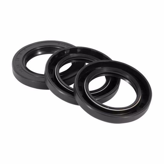 Customized Maintenance Parts EPDM Mechanical Plunger Packing Metering Pump Energized Seals