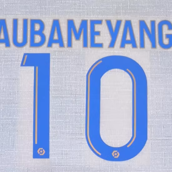 Sinicline Custom High Security Padlock Seal Airline Serial Numbers