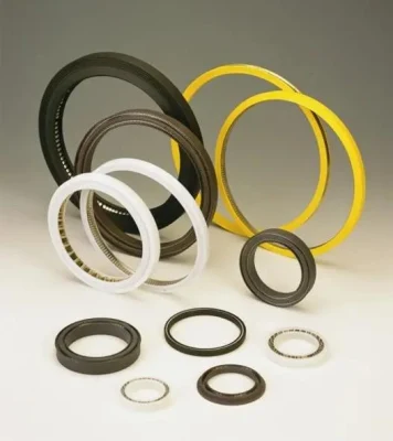Spring Energized Seals for Metering Pump