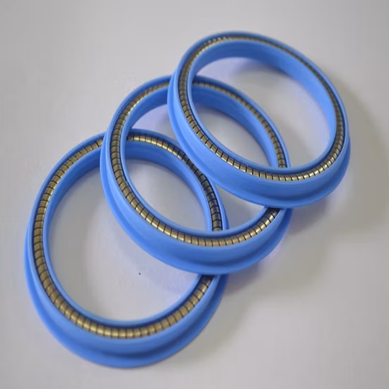 Spring Energized Seals for Metering Pump
